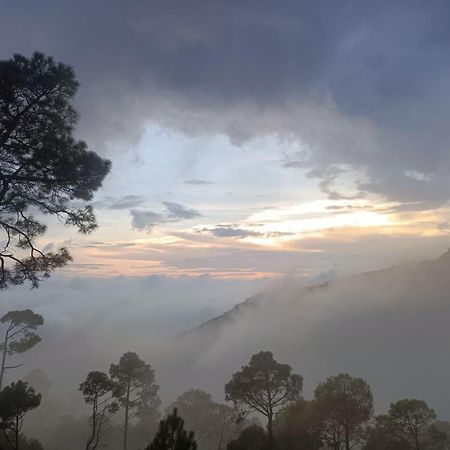 The Western Heights I Serviced Apartments I Pvt Balcony I Lift I Peacefull Area I Family Accomodation I Kasauli I By Exotic Stays المظهر الخارجي الصورة